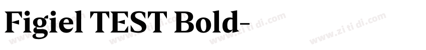 Figiel TEST Bold字体转换